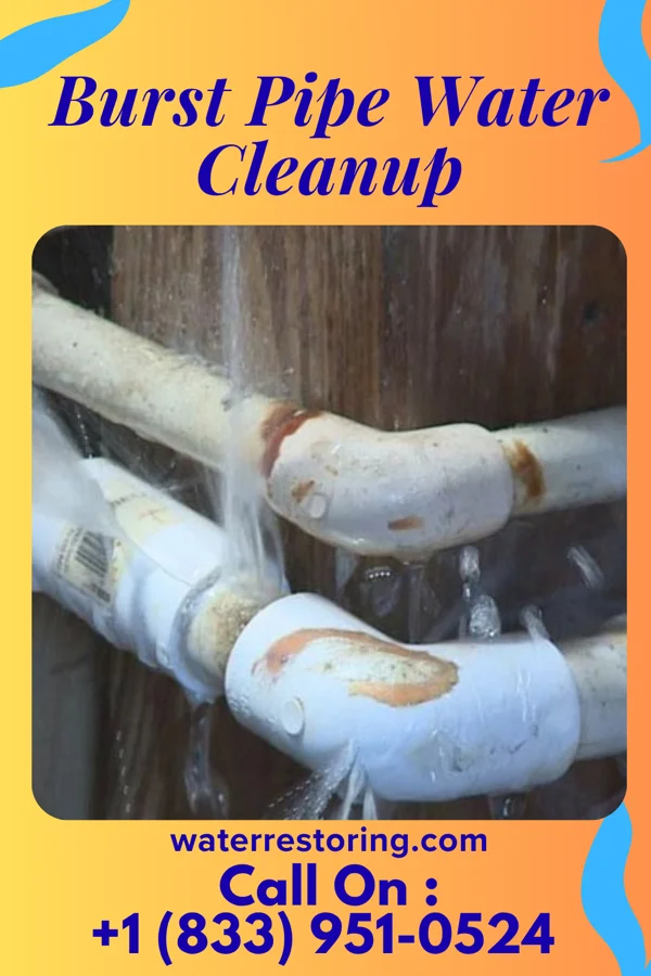Burst Pipe Water Cleanup in Plummer, MN