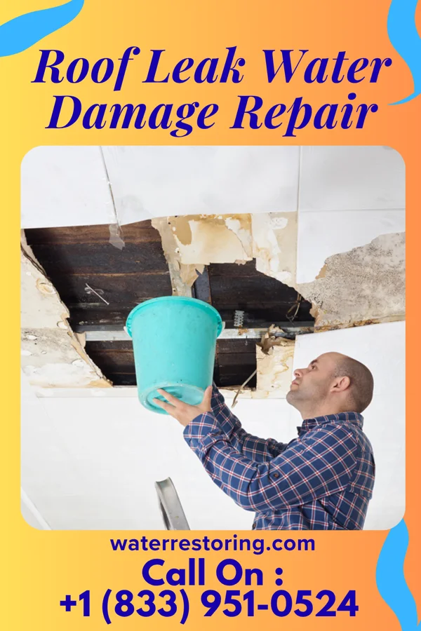 Roof Leak Water Damage Repair in Plummer, MN