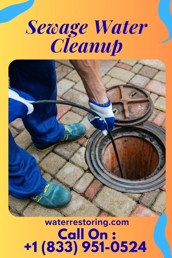 Sewage Water Cleanup in Plummer, MN